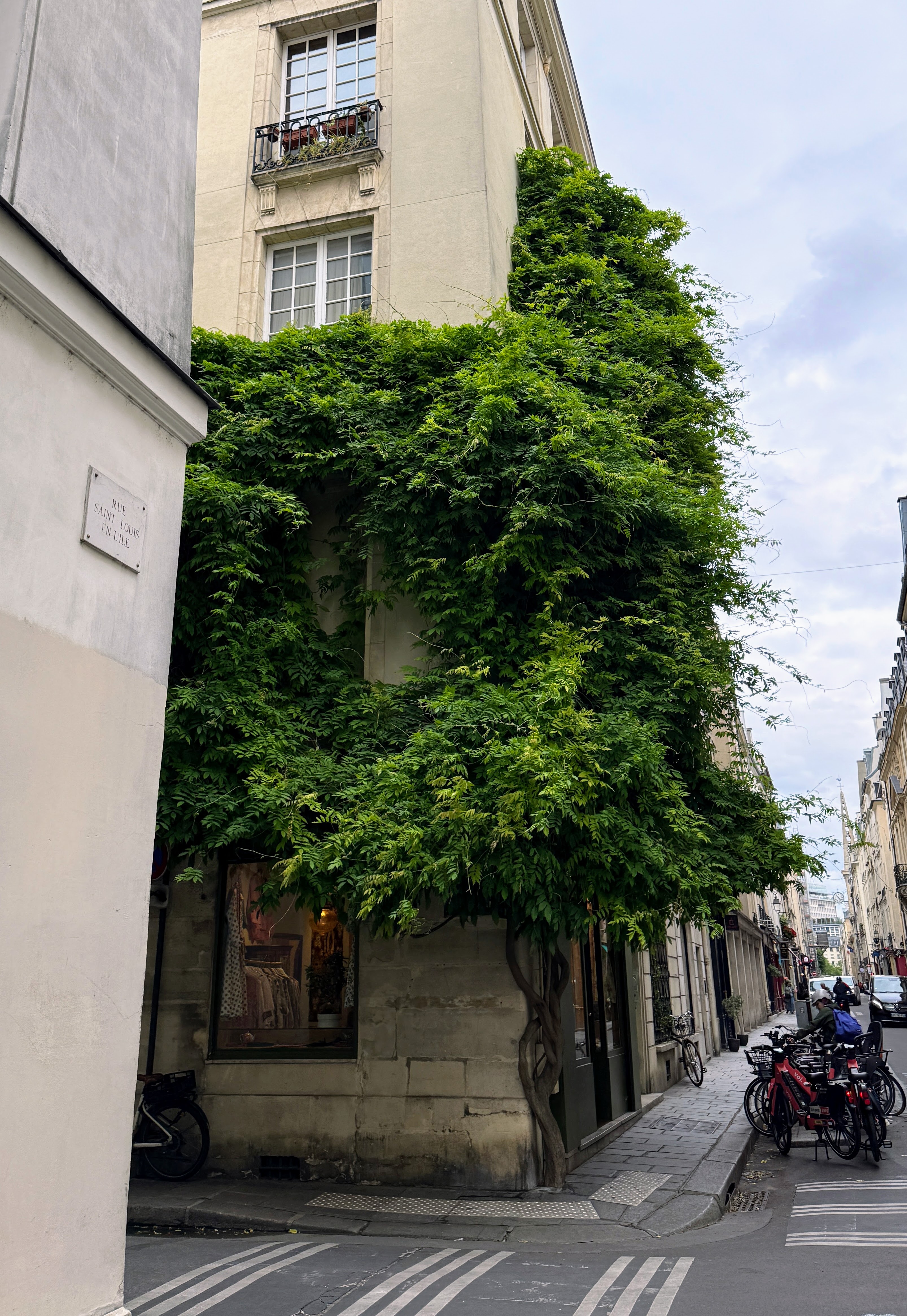 Rue Saint-Louis en l'Île